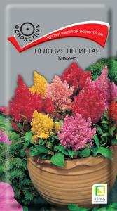 Целозия перистая Кимоно купить