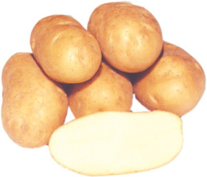 Картофель семенной Надежда 2кг/10 купить