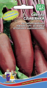 Свекла Славянка  купить