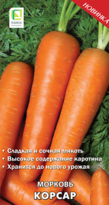 Морковь Корсар купить