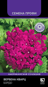 Вербена Кварц Бордо  купить