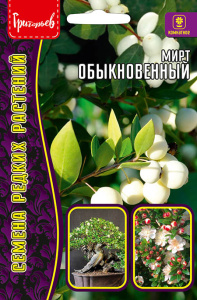 Мирт обыкновенный купить