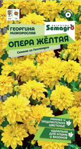 Георгина низкорослая Опера жёлтая  купить