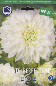 Георгина декоративная White Perfection/1шт купить