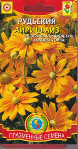 Рудбекия Айриш Айз  купить