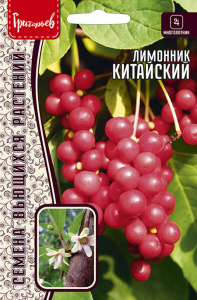 Лимонник Китайский купить