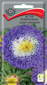 Астра Суприм Лавандовая помпонная купить