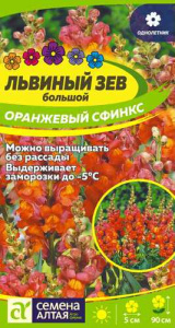 Львиный зев Оранжжевый Сфинкс  купить