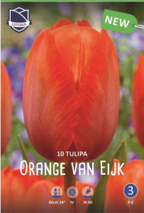 Тюльпан Оранж Ван Эйк /10шт купить