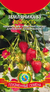 Земляника Вечность S1 купить