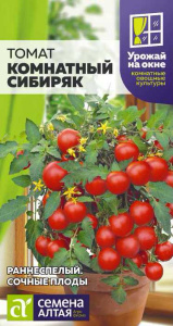 Томат Комнатный Сибиряк купить