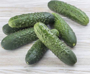 Огурец Мадрилене F1 250 шт купить