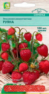 Земляника Руяна ремонтантная (драже) купить