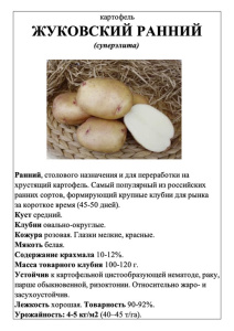 Картофель Жуковский ранний А5 фото купить
