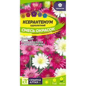 Ксерантемум Смесь  купить