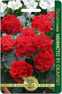 Пеларгония Мефисто F1 Скарлет купить