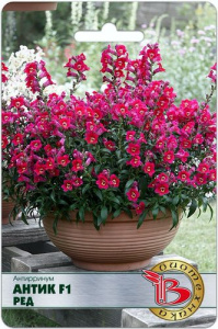 Антирринум Антик F1 Ред купить