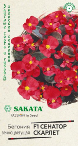 Бегония Сенатор Скарлет F1 вечноцв. Саката  купить