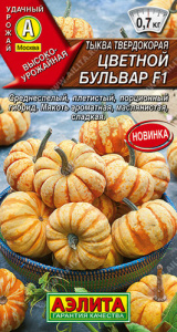 Тыква Цветной бульвар F1 твердокорая купить