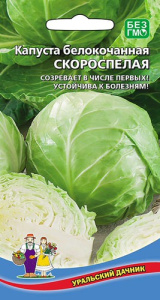 Капуста Скороспелая купить