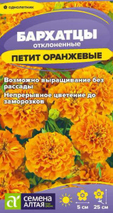 Бархатцы Петит Оранжевые махровые  купить