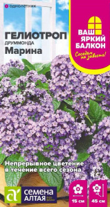 Гелиотроп Марина