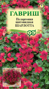 Пеларгония ампельная Шарлотта купить