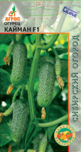 Огурец Кайман F1 купить