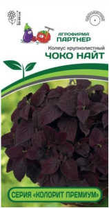 Колеус Премиум Чоко Найт шлемниковидный крупнолистный купить