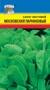 Салат Московский парниковый  купить