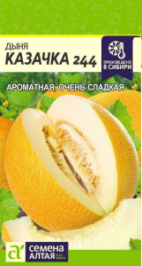 Дыня Казачка 244 купить
