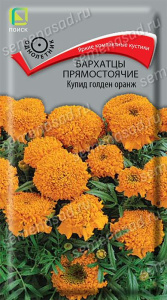 Бархатцы Купид голден оранж прямостоячие купить