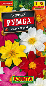 Георгина Румба, смесь окрасок купить