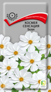 Космея Сенсация Белая купить
