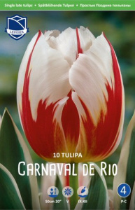 Тюльпан Карнавал де Рио /10шт купить