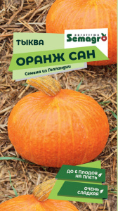 Тыква Оранж Сан  купить