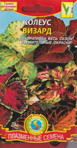 Колеус Визард смесь  купить