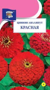 Цинния лиллипут Красная  купить