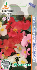 Бегония Сенатор смесь купить