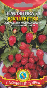 Земляника Волшебство S1 купить