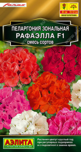 Пеларгония зональная Рафаэлла F1, смесь Золотая серия купить