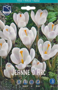 Крокус vernus "Jeanne d'Arc" (1х10шт) купить