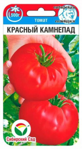 Томат Красный камнепад 20шт купить