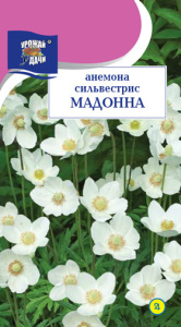 Анемона сильвестрис Мадонна купить