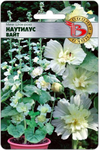 Мини Шток-Роза Наутилус Вайт  купить