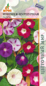 Ипомея Радуга пурпурная купить