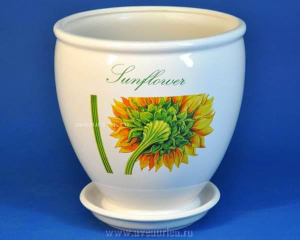 Бутон Подсолнух бел.3л купить