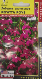 Лобелия ампельная Регатта Роуз  купить