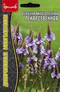 Вербена Лекарственная многолетняя купить
