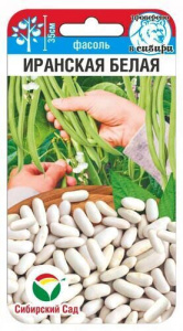 Фасоль Иранская белая купить
